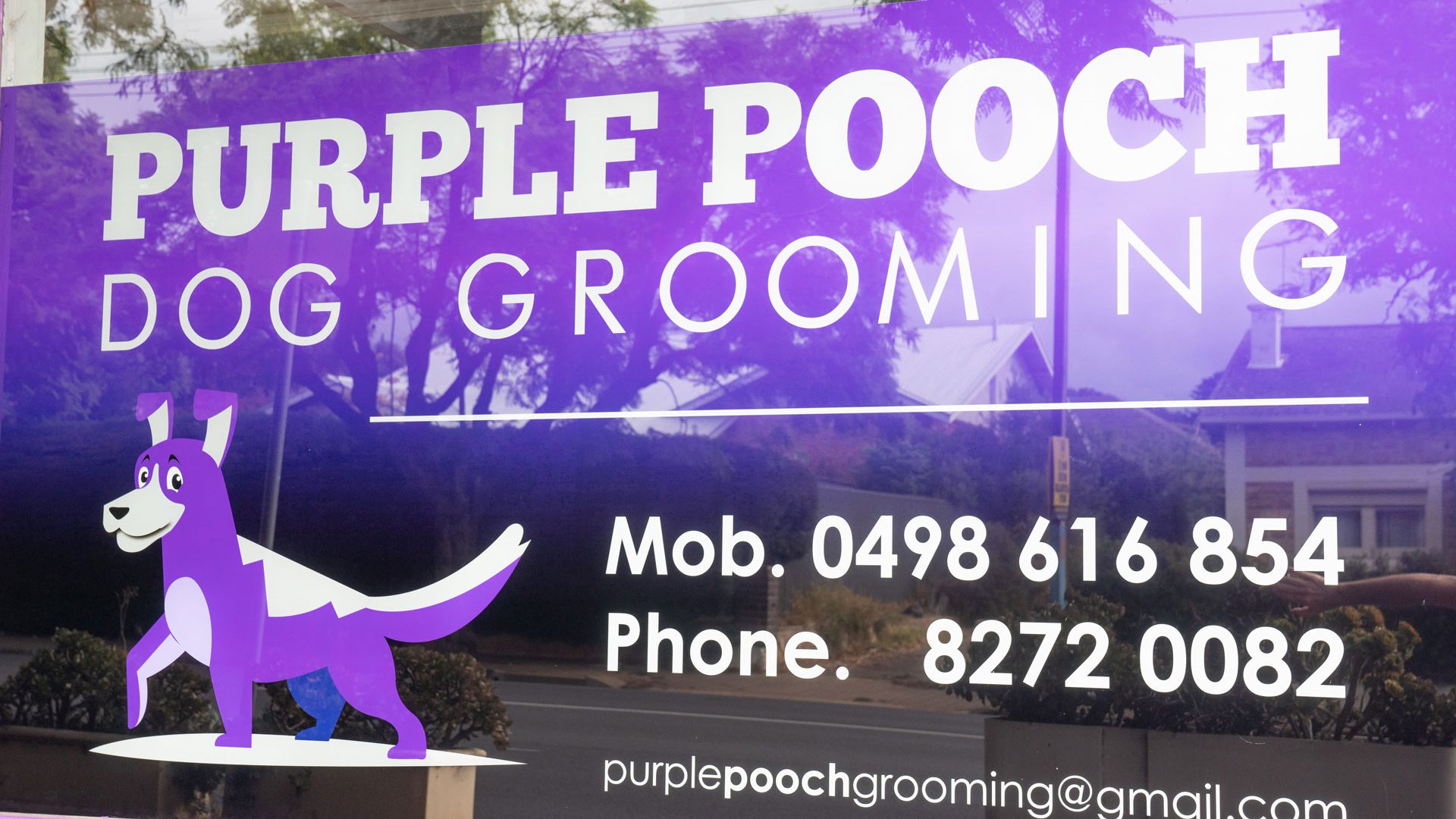 Purple Pooch Dog Grooming