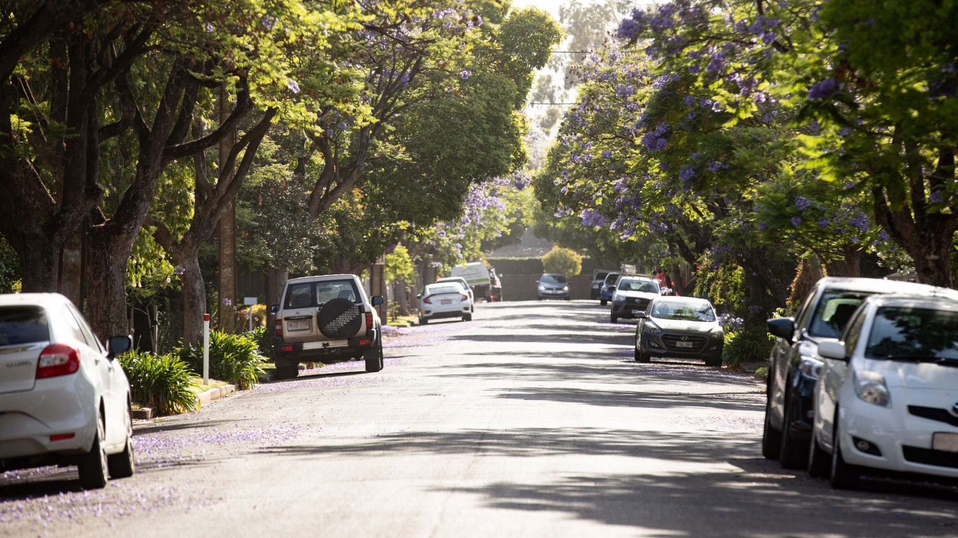 Highgate side street parking